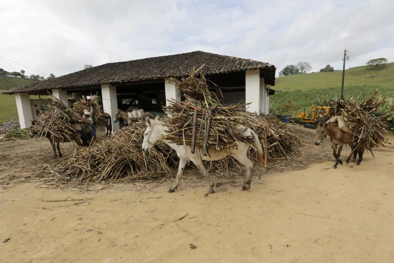 Capacitação reúne representantes de engenhos e empreendimentos turísticos para fortalecer a governança e a qualificação do turismo no Brejo Paraibano. Foto: Canindé Soares